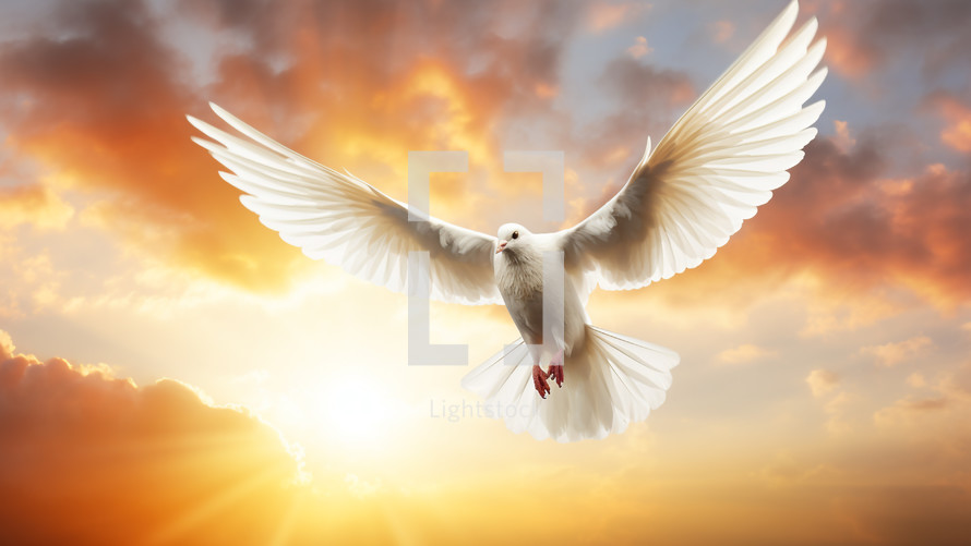 Dove flying in vivid sky