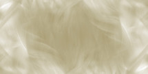 feathery brush strokes in white, beige and tan fill this abstract background