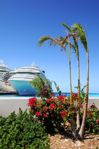 Palm trees and Cruise ships 