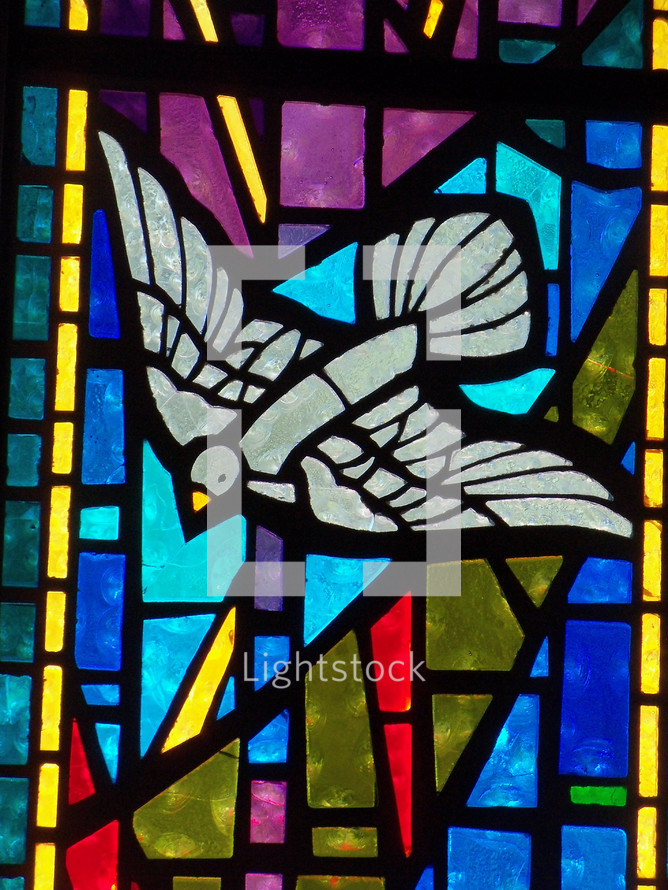 A stained glass window depicting the Holy Spirit descending like a dove surrounded by blue, red, lavender and gold colors adorning a church sanctuary worship center. 