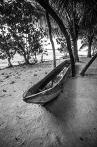 boat beached on the sand under palm trees 