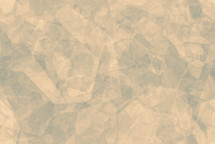 sage and beige / peach random geometric background