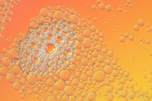 bubbles on orange background 