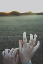 Hands clinging to a fence at sunrise.