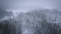 Heavy Snowstorm In The Woods