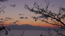 Timelapse in Nea Kallikratia, Greece at sunset seen branch of tree