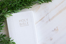 vines border and white Holy Bible 