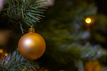 Golden ornament hanging from christmas tree