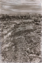 Outback landscape 