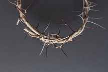 half crown of thorns on a black background 