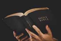 Hands holding a Bible