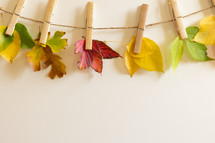 Fall leaves on clothespins