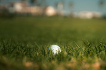 Golf ball on a grass golf course