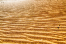 sand in the desert 