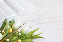open Bible and tulips and easter eggs 