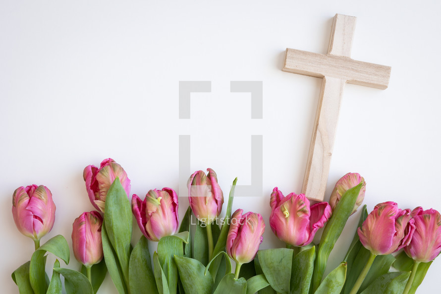 Wood cross with border of pink tulips on a white background