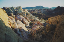 red rock formations in the desert 