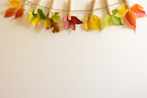 Fall leaves on clothespins on white background