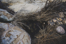nest in desert rocks 