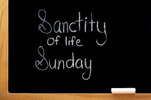 Sanctity of Life Sunday 