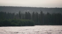Dark Forest Across A River	