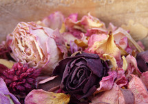 dried roses potpourri 