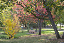 a park bench under trees in a park 