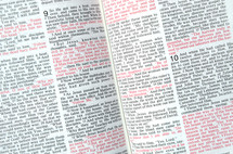red text scripture on the pages of a Bible 