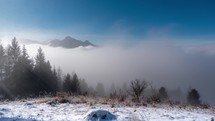 Inversion clouds in the winter landscape, the movement of fog through the trees 