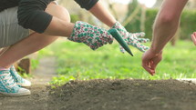 planting seeds in a garden 