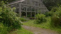Greenhouse Surrounded by Plants