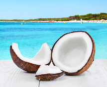 coconut by the ocean 