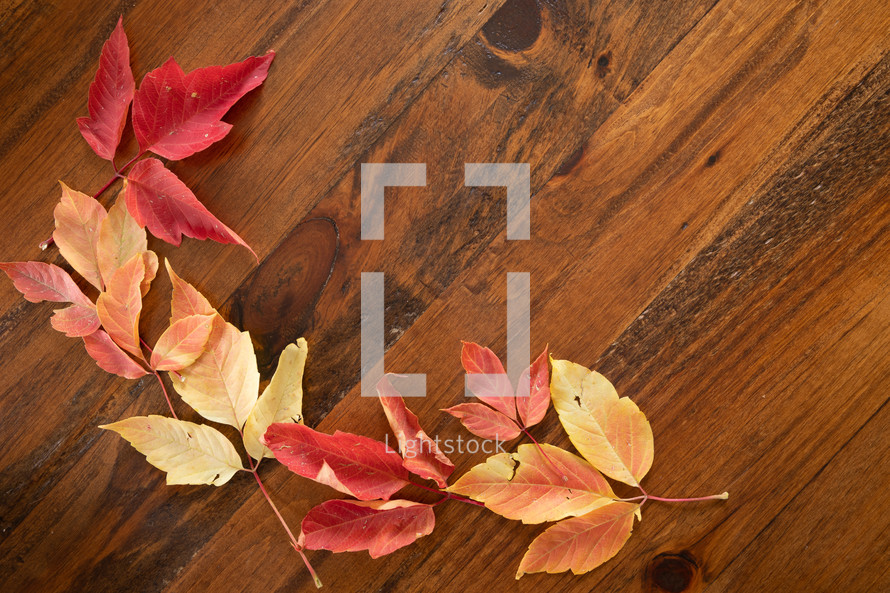 fall leaves on a wood floor 