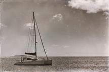 sailing on a catamaran 