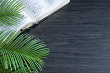 Open bible and palm leaves on a dark wood table