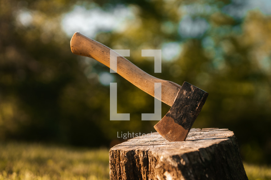 Axe in a tree stump, log cutting lumberjack tools