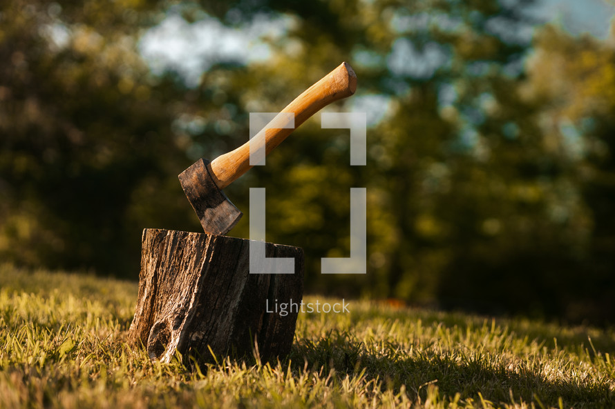 Axe in a tree stump, log cutting lumberjack tools