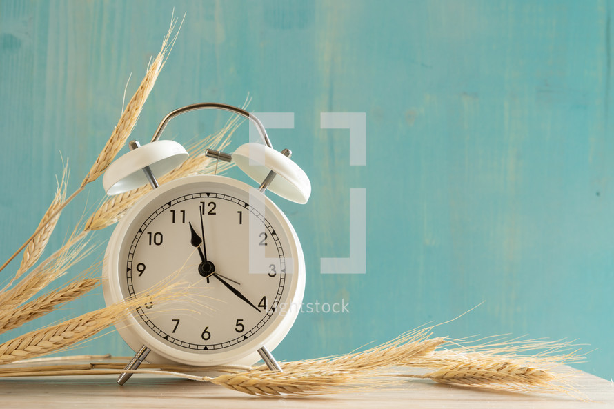 alarm clock with wheat on blue 