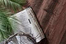 crown of thorns, and palm fronds, on a Catholic Bible 