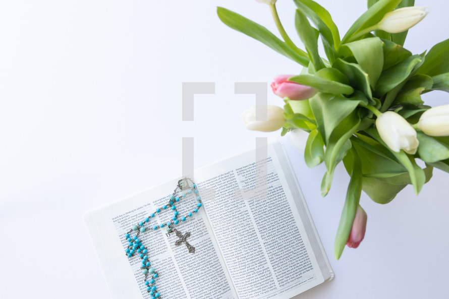 rosary on the pages of a Bible and pink and white tulips 