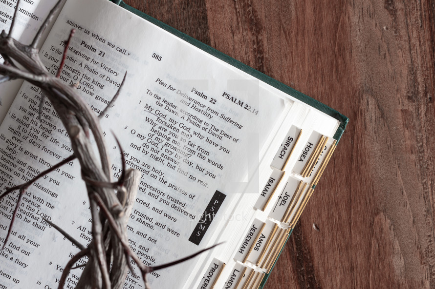 crown of thorns on the pages of an open Bible 