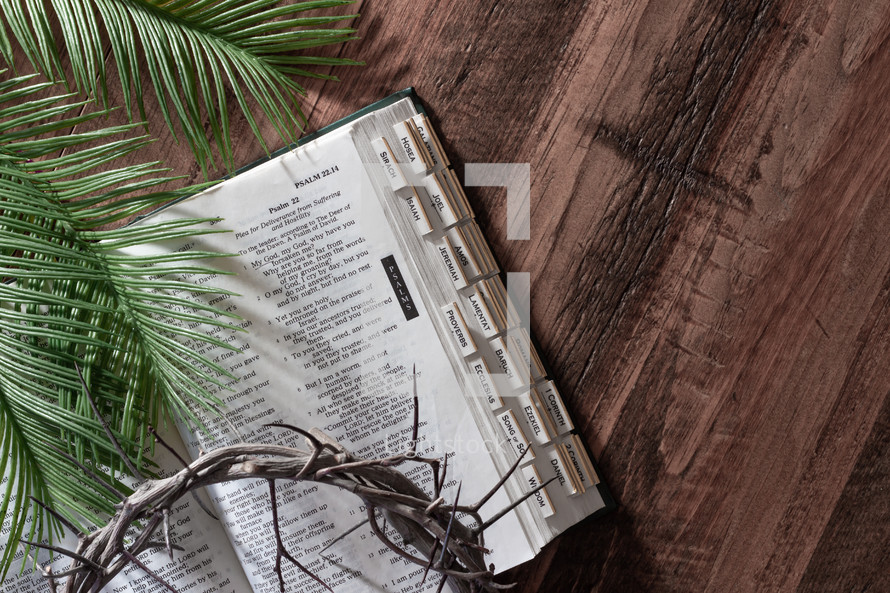crown of thorns, and palm fronds, on a Catholic Bible 