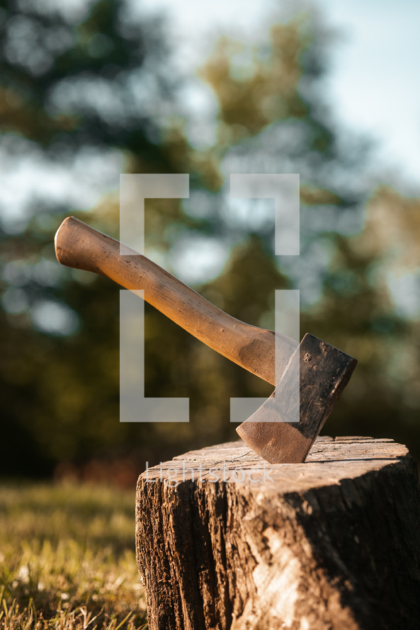 Axe in a tree stump, log cutting lumberjack tools