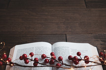 open Bible, red berries and fairy lights on a wood background 