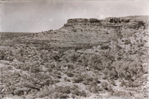 desert outback 