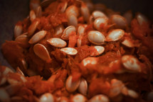 pumpkin seeds 