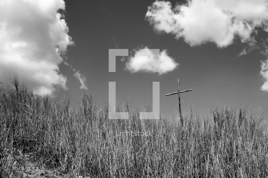 wooden cross in a field of tall grass 