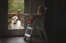 a dog watching an infant in a highchair 