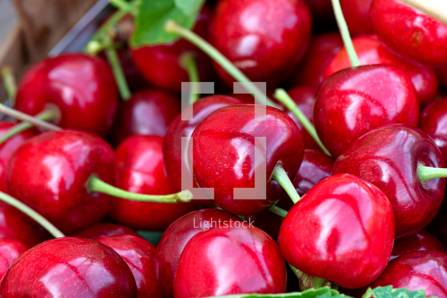 red cherries 