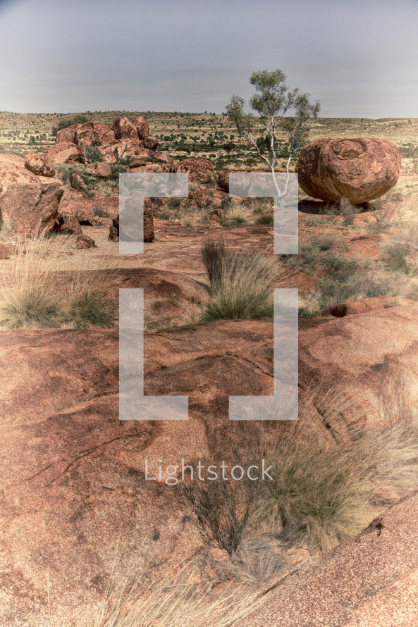 desert rocks 